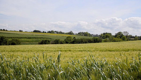 Inventer demain de nouvelles dynamiques pour les villages et les zones rurales, avec « l’Erasmus rural » et l’association InSite